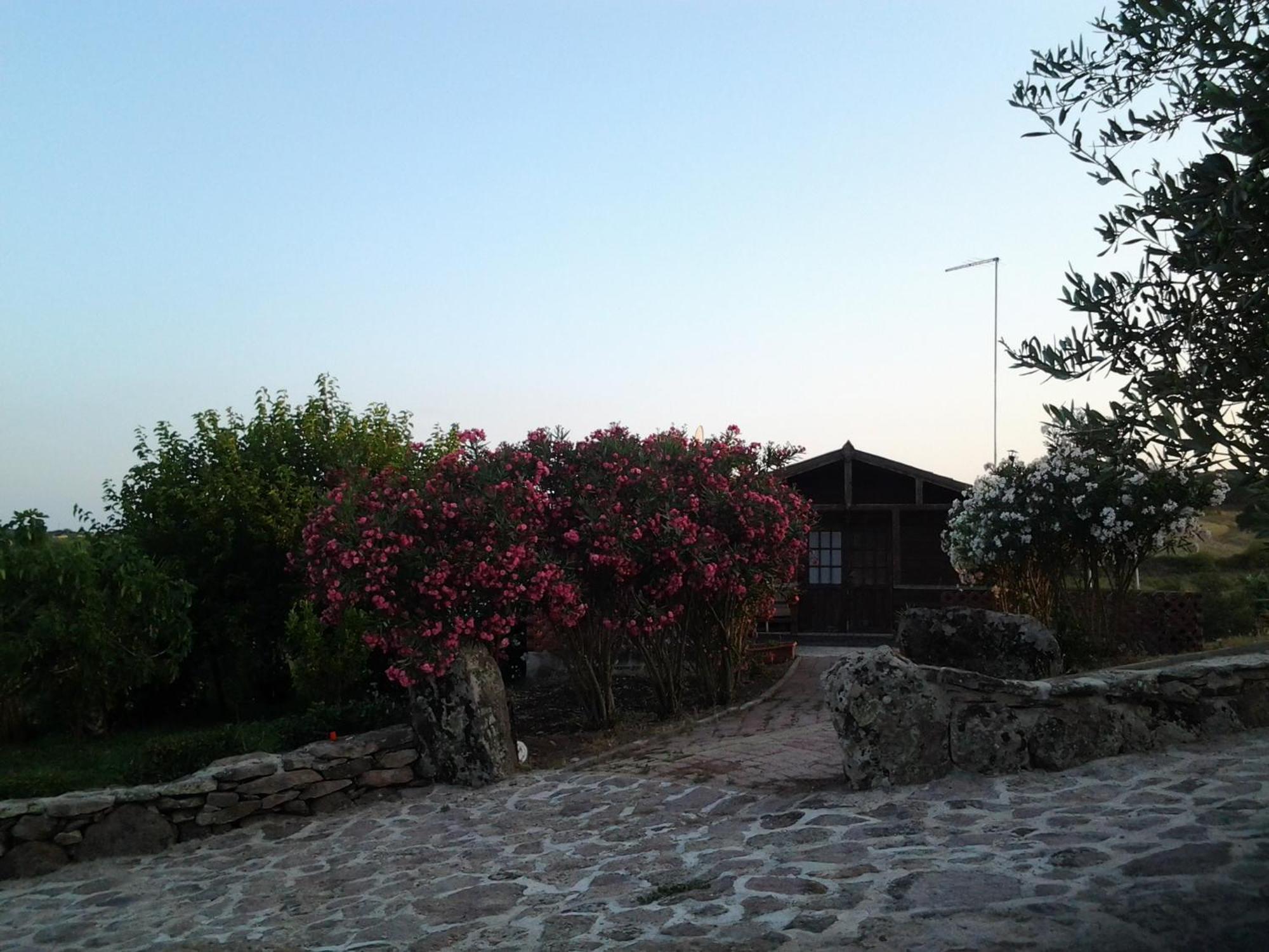 Agriturismo Su Recreu Ittiri Δωμάτιο φωτογραφία