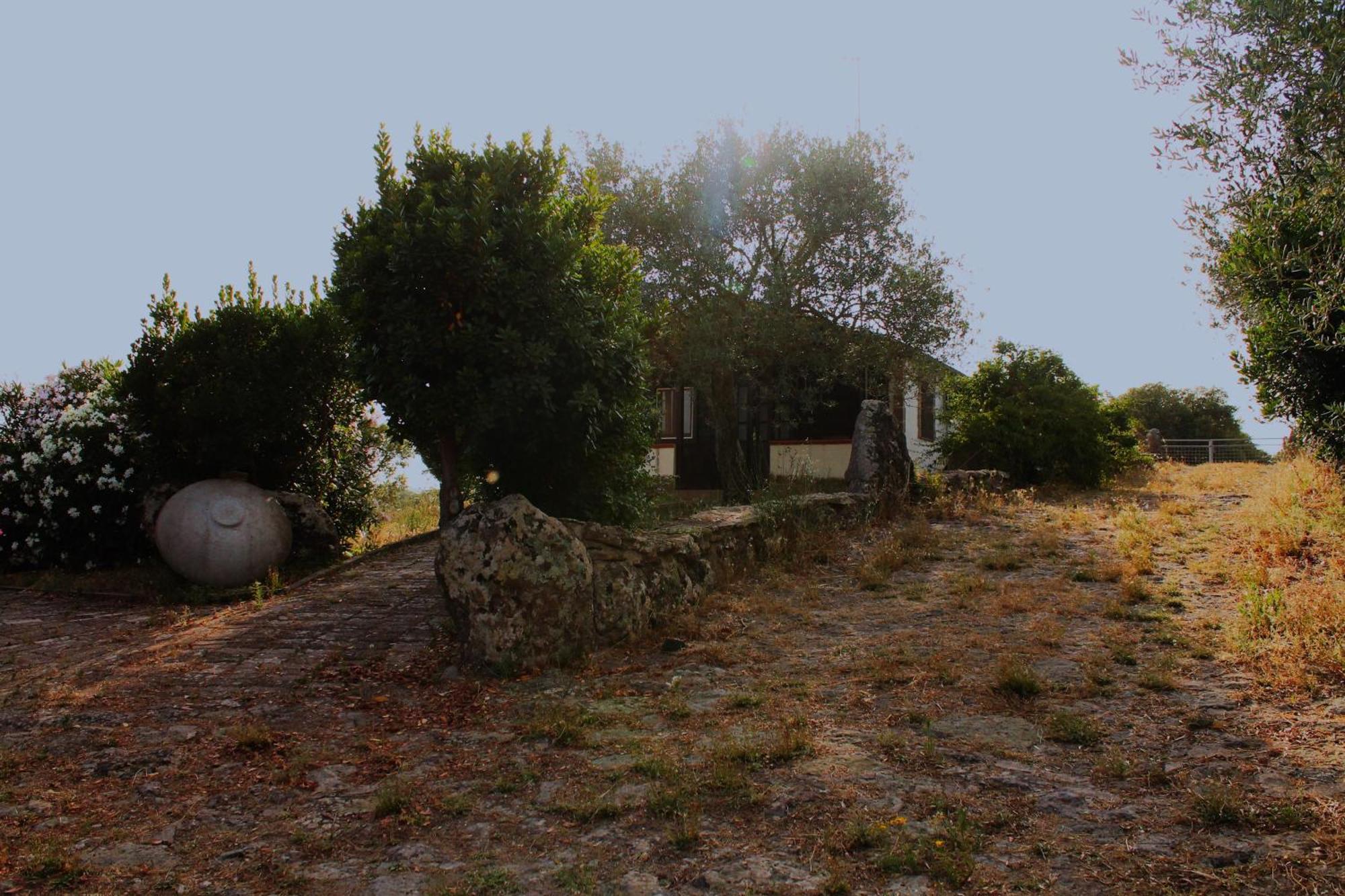 Agriturismo Su Recreu Ittiri Εξωτερικό φωτογραφία