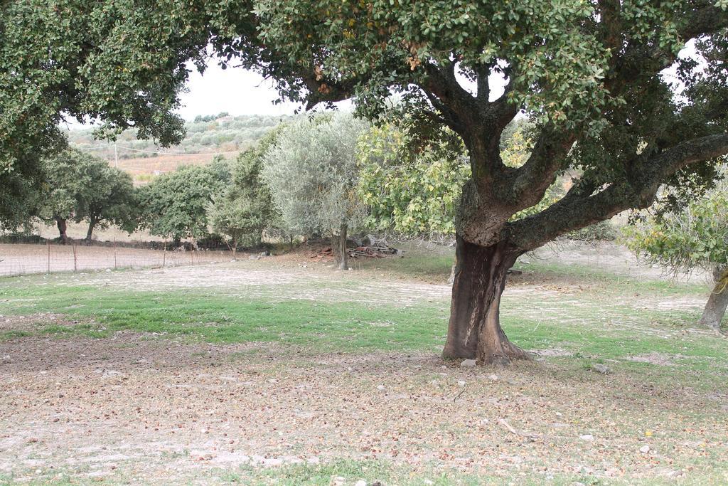 Agriturismo Su Recreu Ittiri Εξωτερικό φωτογραφία
