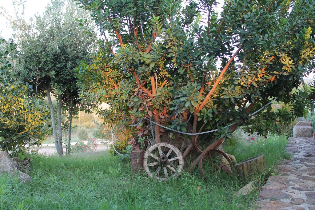 Agriturismo Su Recreu Ittiri Εξωτερικό φωτογραφία