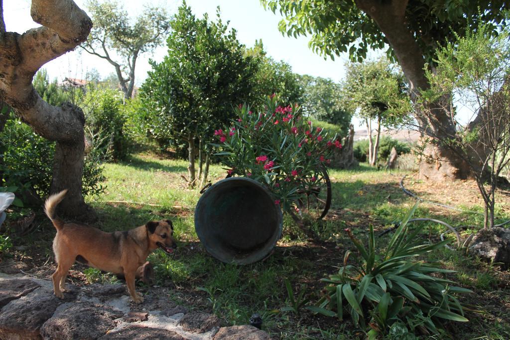 Agriturismo Su Recreu Ittiri Εξωτερικό φωτογραφία