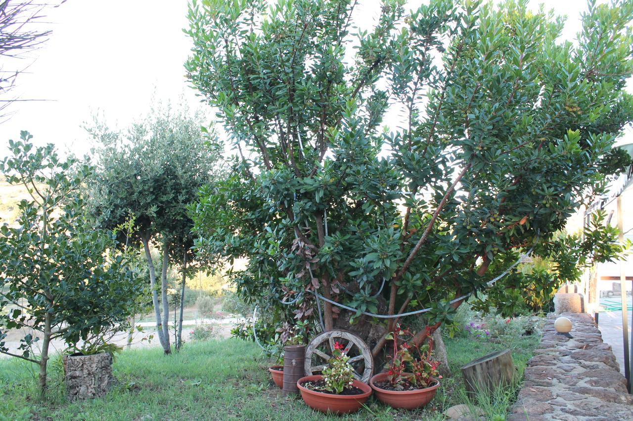Agriturismo Su Recreu Ittiri Εξωτερικό φωτογραφία