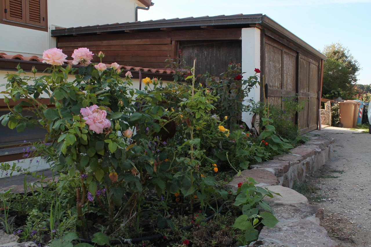 Agriturismo Su Recreu Ittiri Εξωτερικό φωτογραφία
