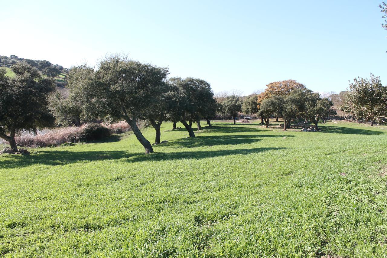 Agriturismo Su Recreu Ittiri Εξωτερικό φωτογραφία
