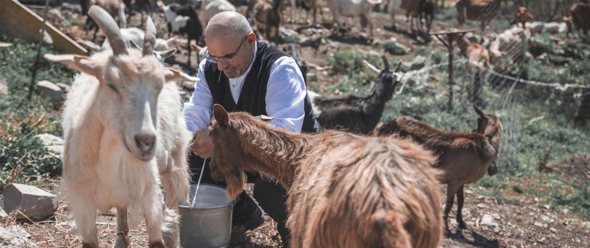 Agriturismo Su Recreu Ittiri Εξωτερικό φωτογραφία